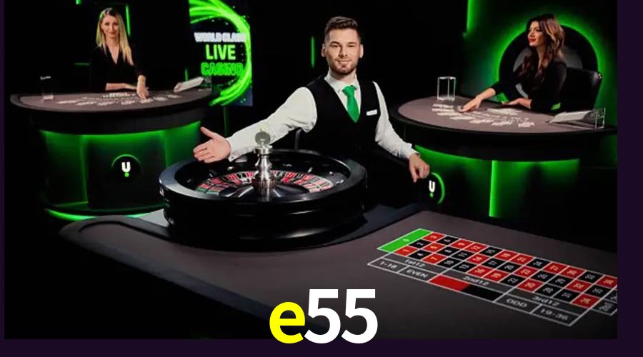 Platform Technology e55